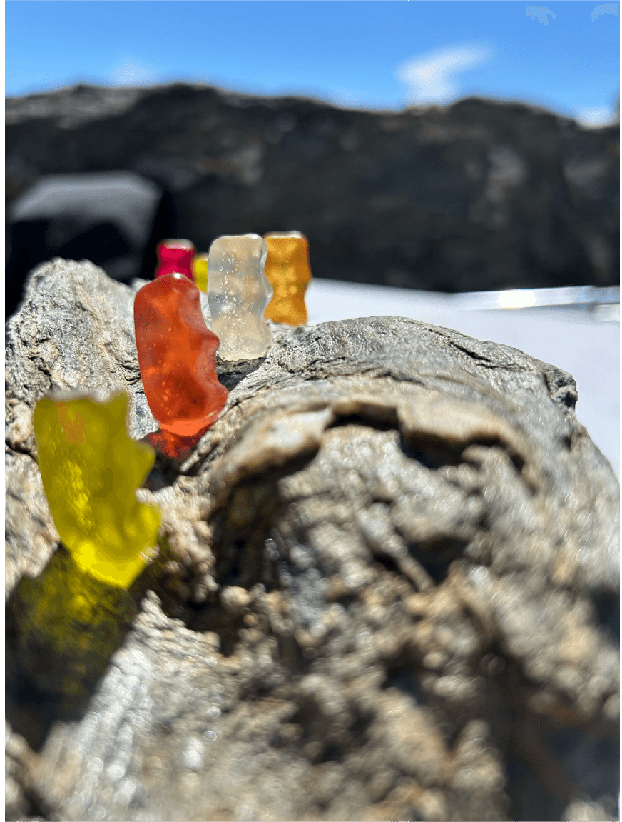 HARIBO ¿Por qué sonríen los Ositos de Oro? - Image 1